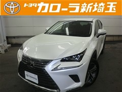 NX300 Iパッケージ