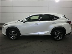 NX300 Iパッケージ