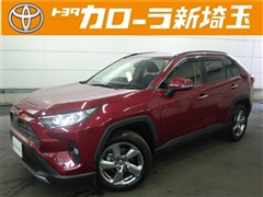 RAV4 G