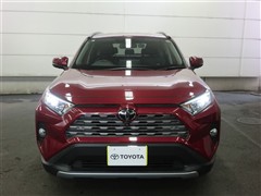 RAV4 G