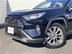 RAV4 G Zパッケージ