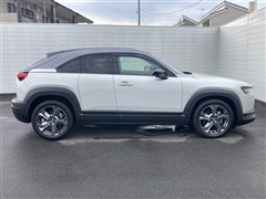 MX-30 ヒョウジュン