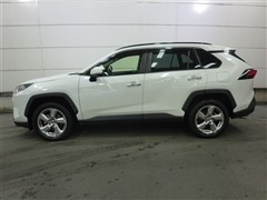 RAV4 HEV G