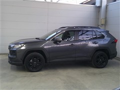 RAV4 アドベオフロードPKG