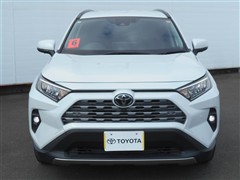 RAV4 G