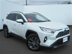 RAV4 G