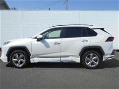 RAV4 HEV G