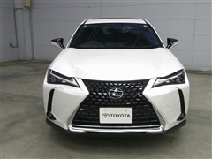 UX250h バージョンL