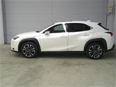 UX250h バージョンL