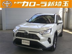 RAV4 HEV G
