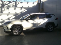 RAV4 G