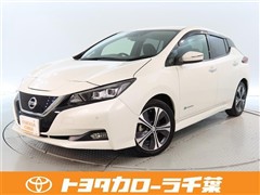 日産 リーフ X 10マンダイキネンシャ