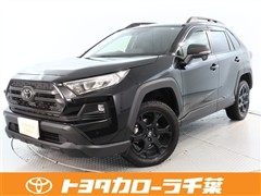 RAV4 アドベンチャー オフロート