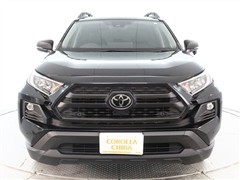 RAV4 アドベンチャー オフロート