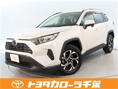 RAV4 X
