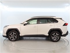 RAV4 X