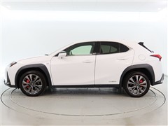 UX250h F SPORT