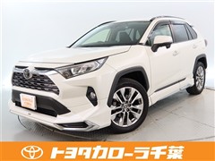 ＲＡＶ４