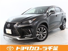NX300h F SPORT