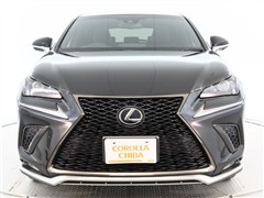 NX300h F SPORT