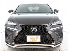 NX300h F SPORT