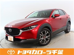 CX-30 XD 100シュウネントクヘ