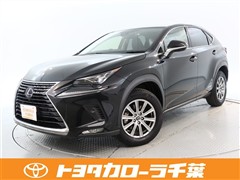NX300h Iパッケ-ジ