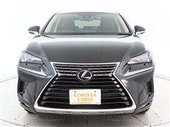 NX300h Iパッケ-ジ