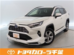 RAV4 HV G 4WD