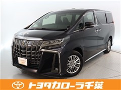 アルファードHV Sタイプゴ-ルト