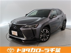 UX250h バージョン C