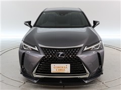 UX250h バージョン C