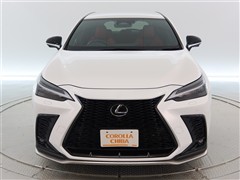 NX350 F SPORT