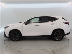 NX350 F SPORT
