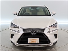 NX300 Iパッケ-ジ 4WD