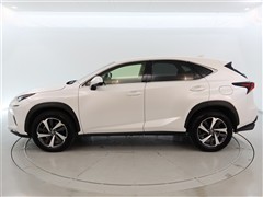NX300 Iパッケ-ジ 4WD