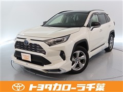 RAV4 HV G 4WD