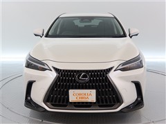 NX250 4WD