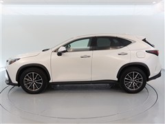 NX250 4WD