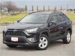 RAV4 X