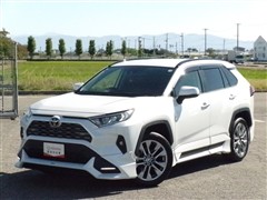 RAV4 G Zパッケージ