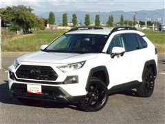 トヨタ RAV4 Advオフロードパケ