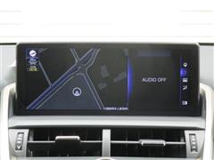 NX300