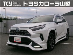 RAV4 G
