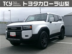 ランドクルーザー250 VX