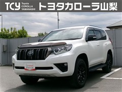 ランクルプラドTX L  BL ED