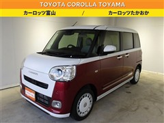 ムーヴキャンバスストライプスGター