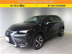 NX300h Iパッケージ