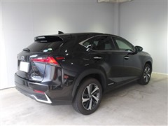 NX300h Iパッケージ