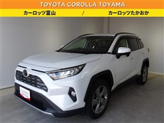 RAV4 G